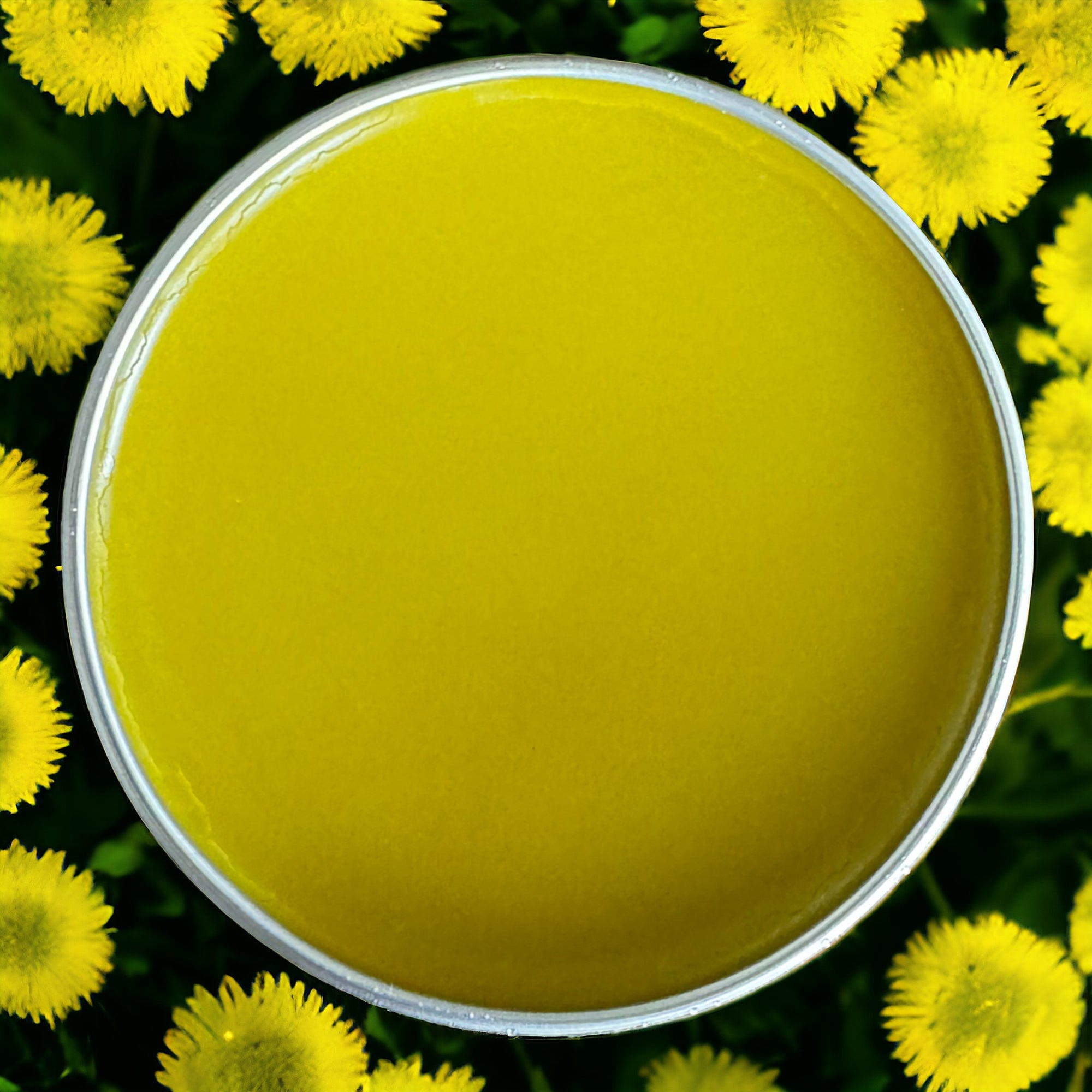 DANDELION SALVE