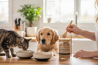 CARNIVORE THRIVE | Premium Freeze Dried Raw Meat & Organ Topper for Dogs & Cats